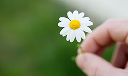 81865176_C_Gelpi_Fotolia.com