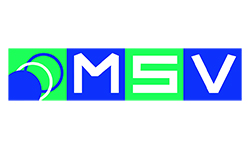 LOGO_msv