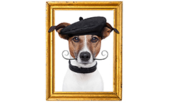 Fotolia_45909581_XL_C_javier brosch