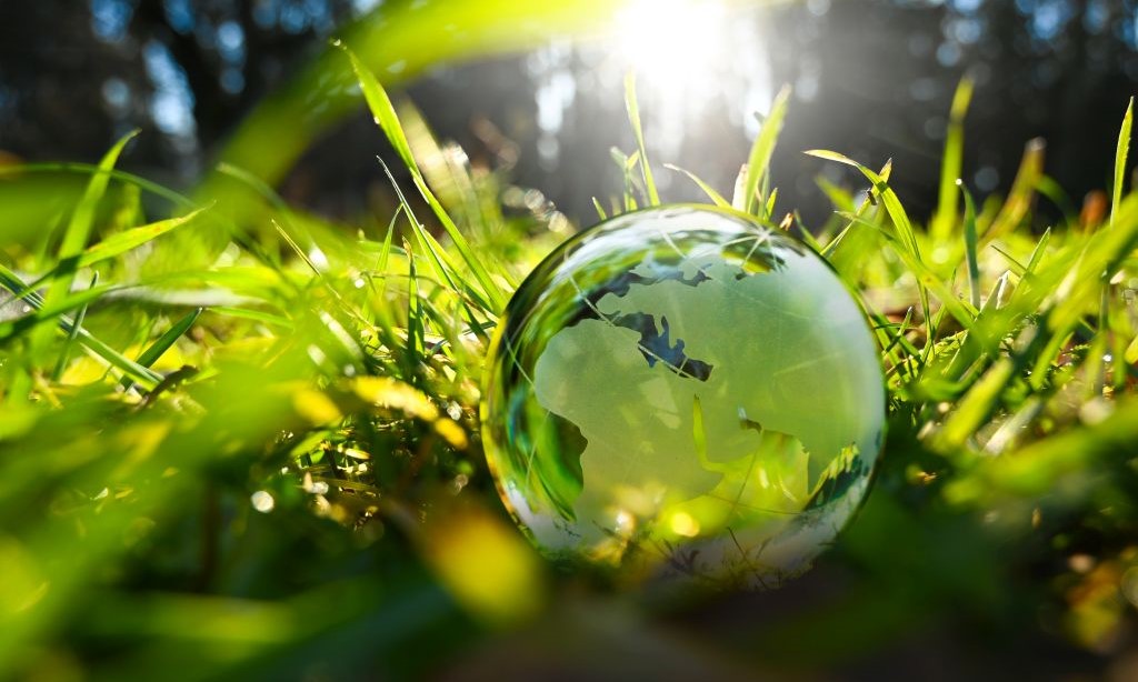 Eine gläserne Weltkugel liegt im Gras.