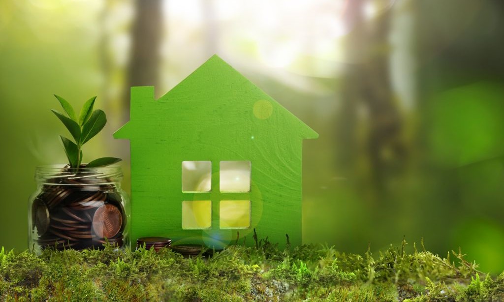 Eco-freundliches Haus mit Münzen und Gras