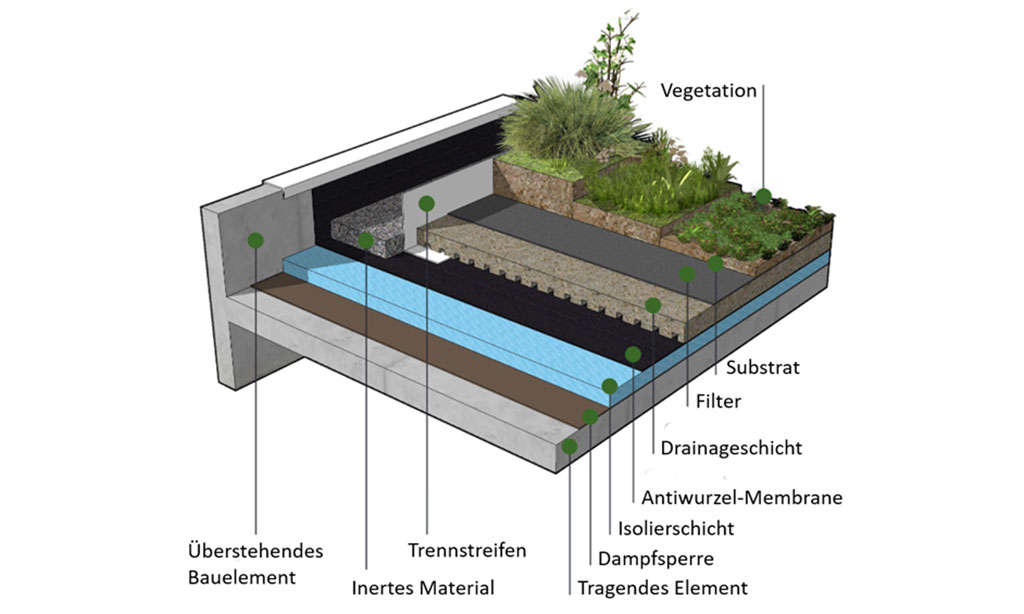 Dachbegrünung Drainage