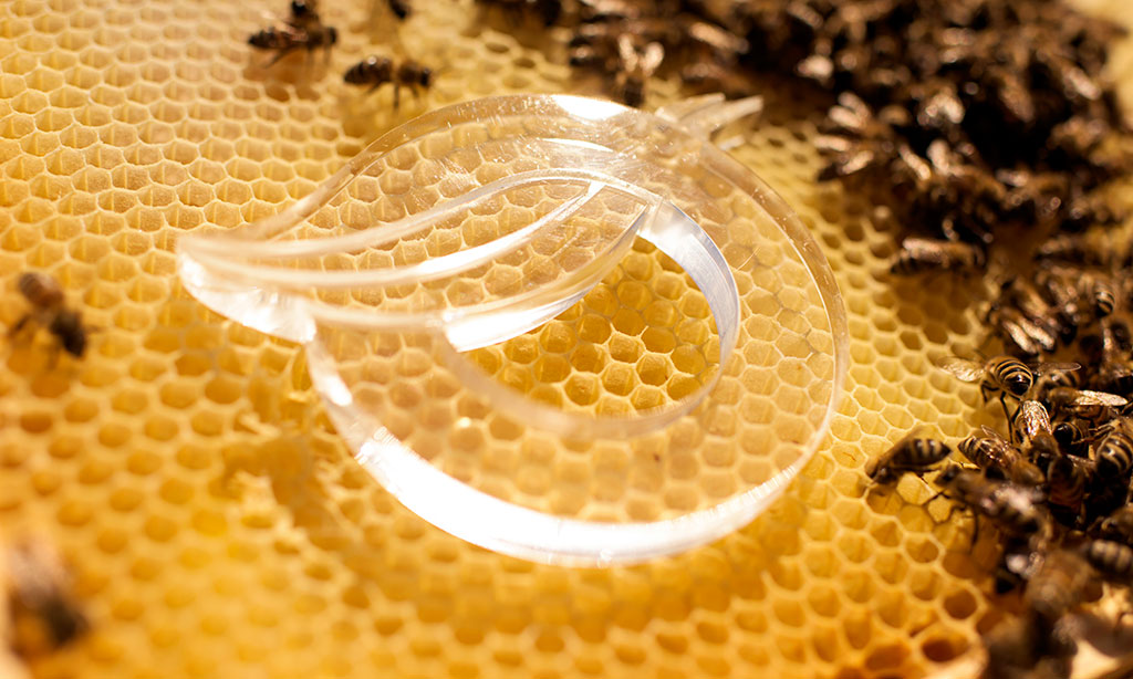 Auf Bienenwarben liegt ein durchsichtiges 