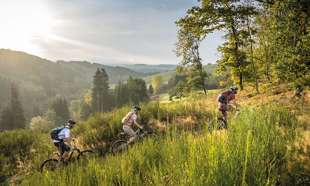Drei Menschen fahren mit dem Fahrrad durch eine grüne Natur.