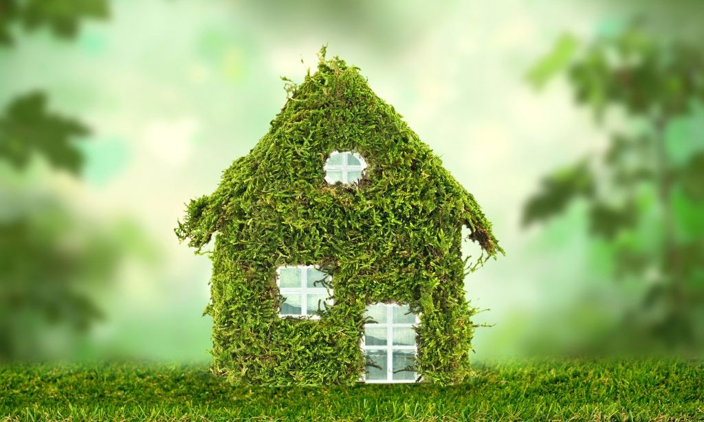 Ein Modellhaus ist komplett mit Pflanzen bewachsen.