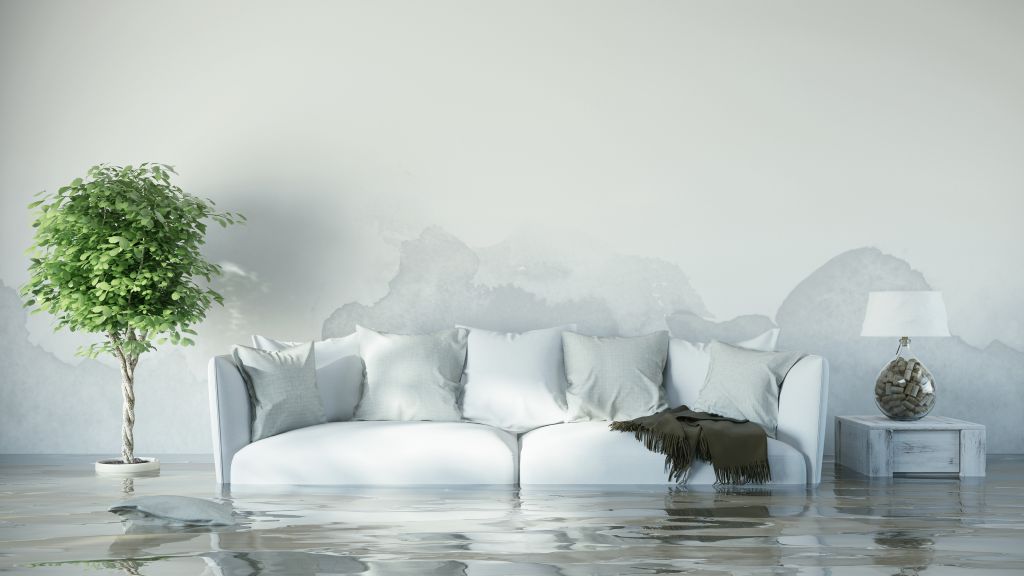 Ein weißes Sofa vor einer weißen Wand. Neben dem Sofa steht links eine Grünpflanze und rechts eine Nachttischlampe