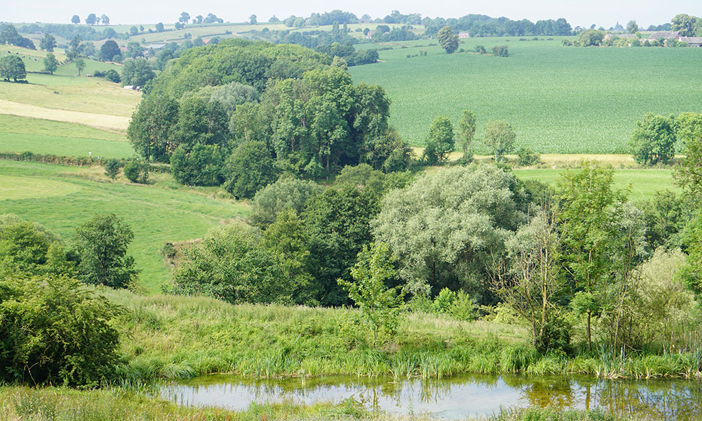 Weidelandschaft mit Bachlauf und Hecken.