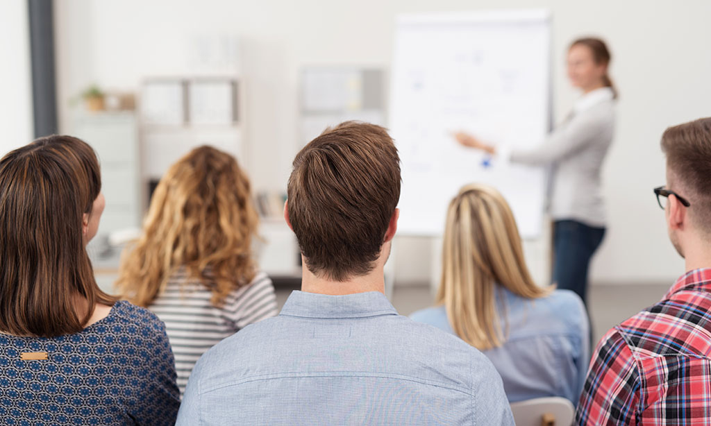 Eine Frau steht vor einem Flipchart und zeigt darauf. Vor ihr sitzt eine Gruppe Personen, die sie anschauen 
